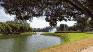 parque ibirapuera