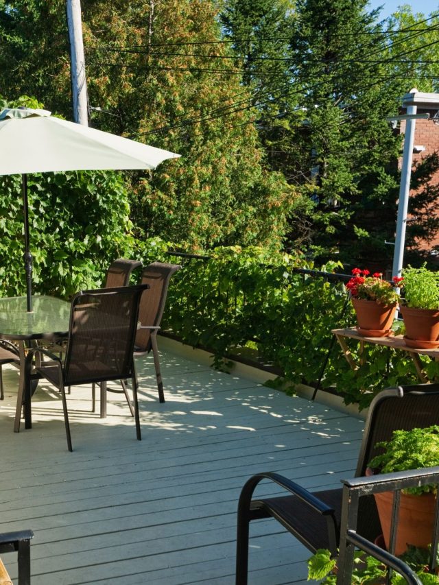 Rooftop:
A nova tendência da construção civil