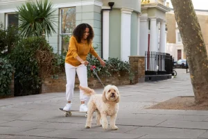 Mulher andando de skate em uma calçada enquanto passeia com um cachorro na coleira em um local residencial arborizado.